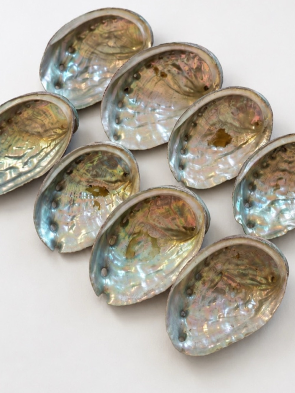 Natural Abalone Shell Pendant Set — Iridescent Blue-Green